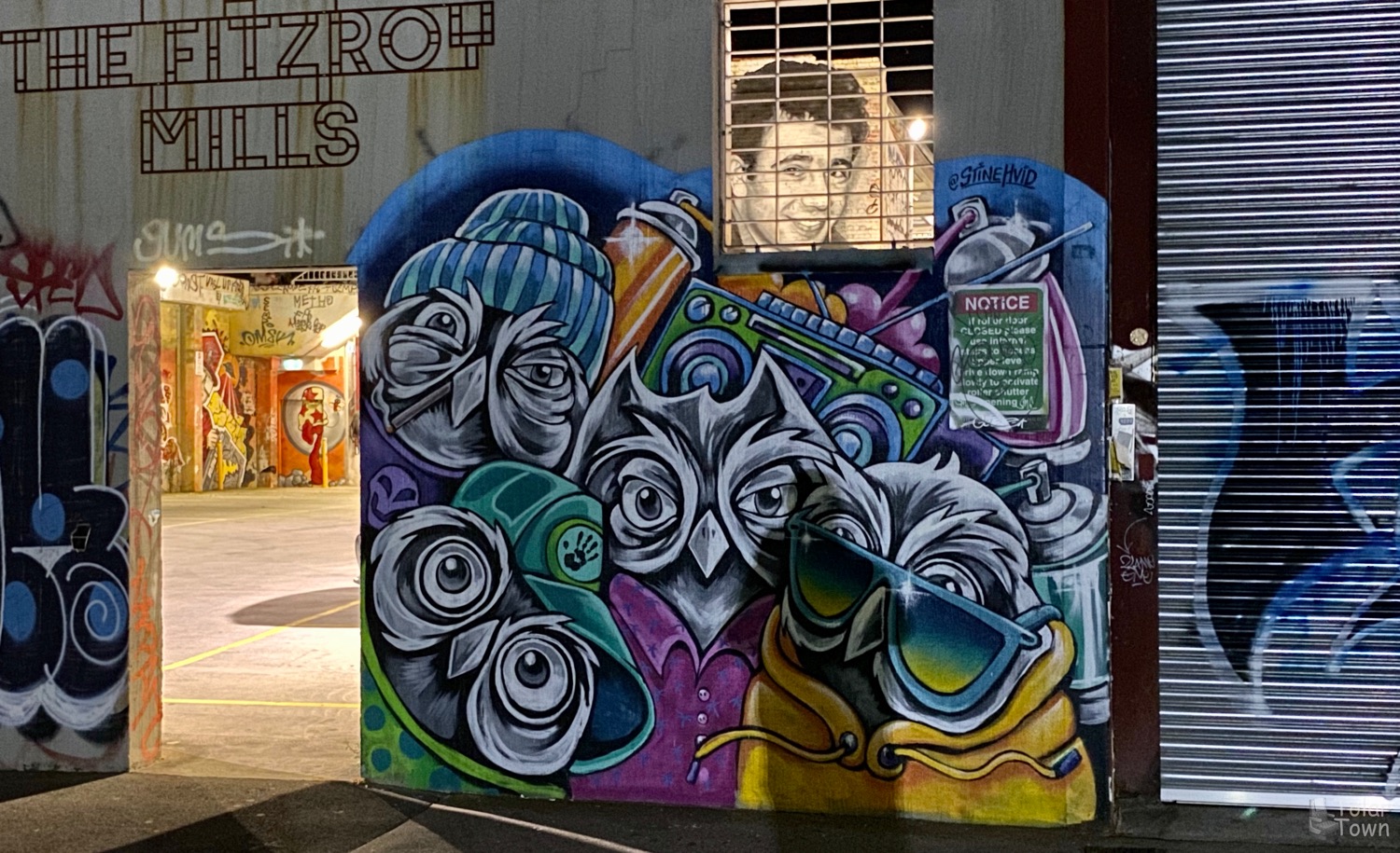 Fitzroy owls