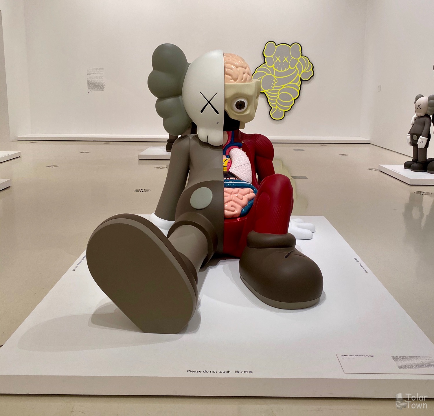 KAWS Companion