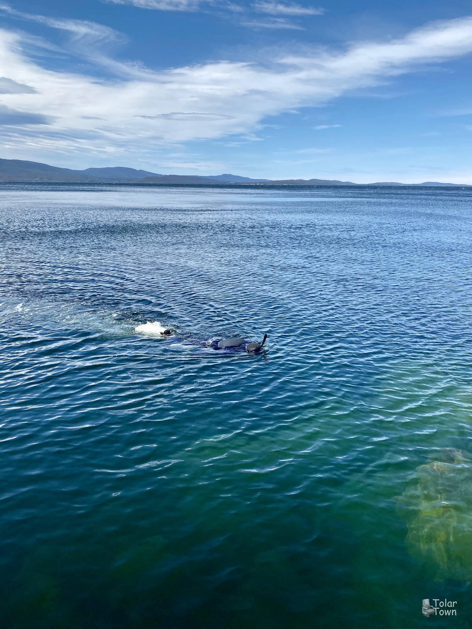 Diving for seafood