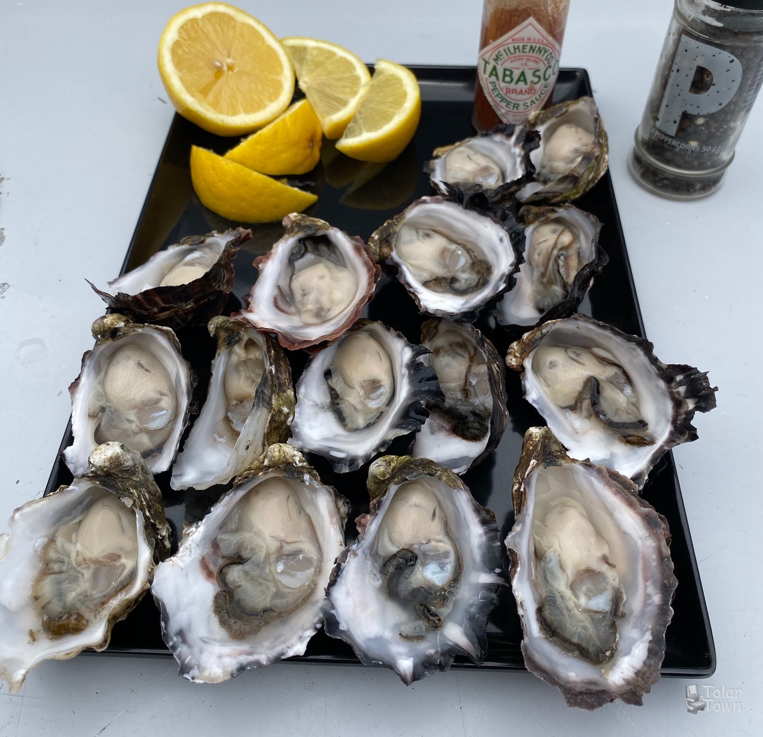 Raw oysters