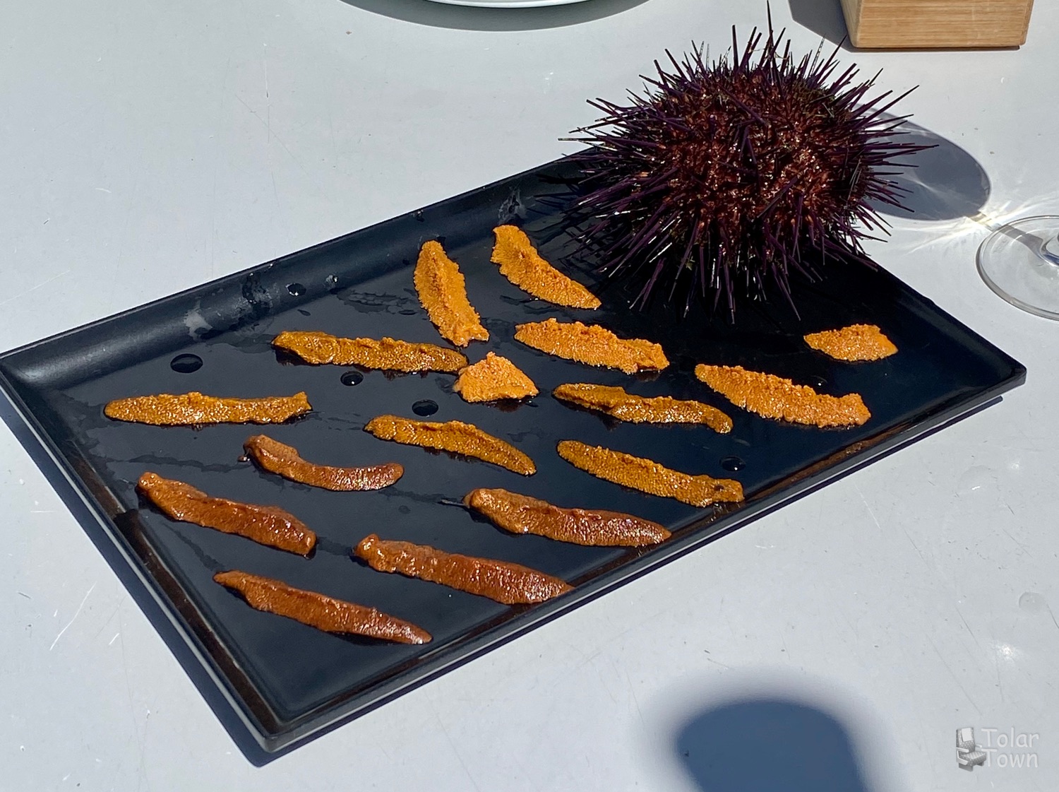 Fresh, raw sea urchin