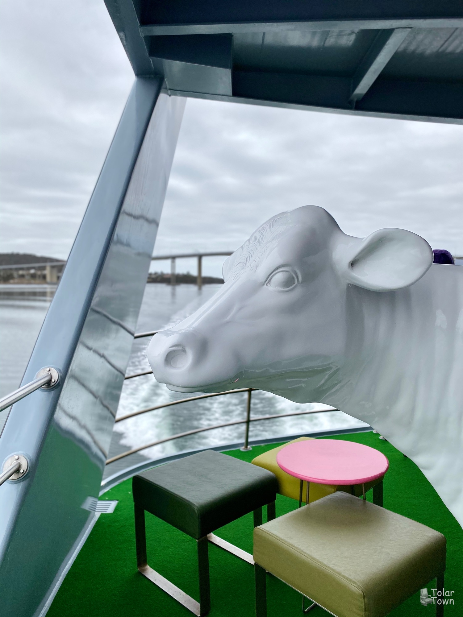 Ferry cow