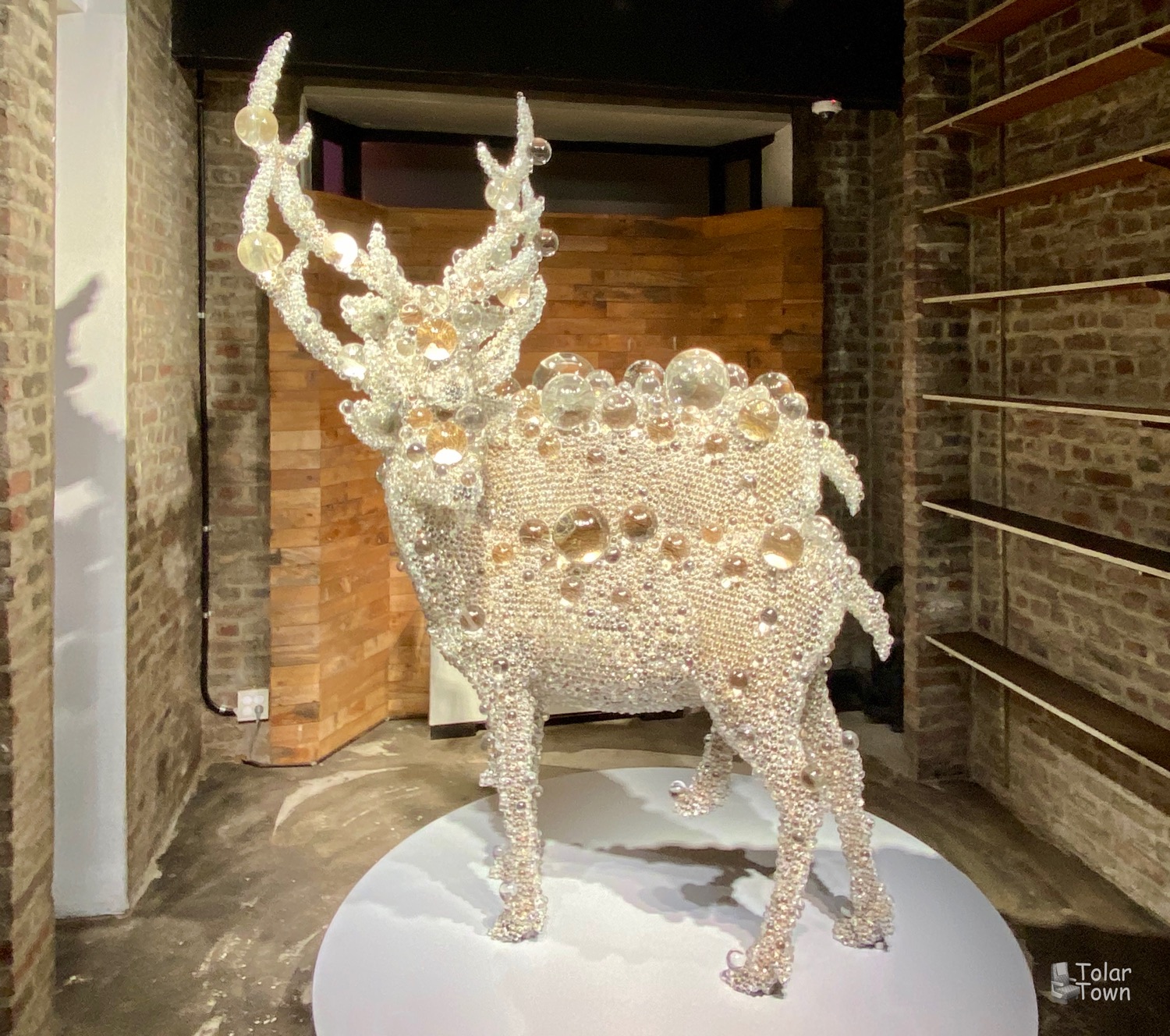 Deer at Arario museum